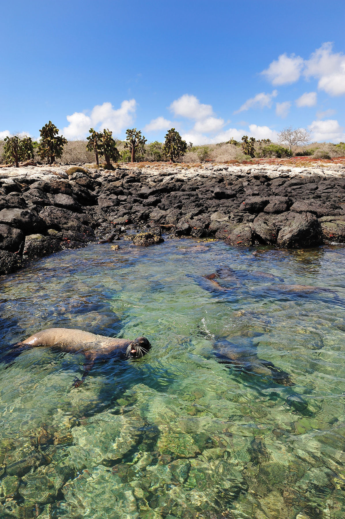 Pikaia Lodge Santa Cruz Island Bagian luar foto